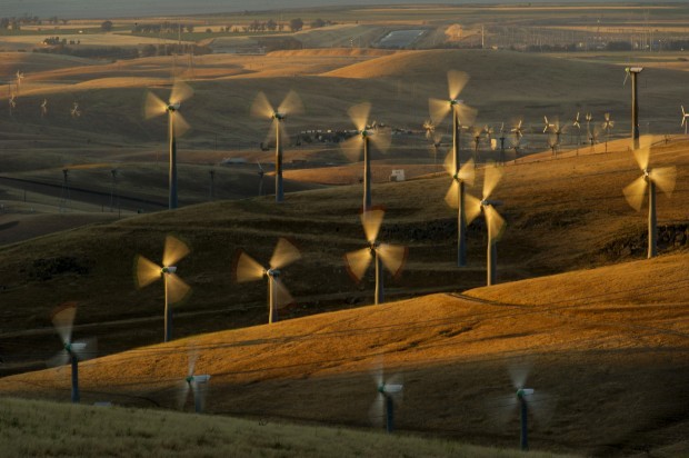 Wind Farm Eagle Deaths